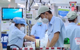 Xuất nhập khẩu tăng trưởng mạnh đầu năm 2026