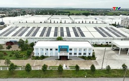 Phát động toàn dân tiết kiệm năng lượng, hưởng ứng Giờ Trái đất 2026