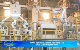 Bản tin Nông nghiệp – Nông thôn 21/03/2026