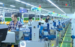 Thanh Hóa mời gọi đầu tư 173 dự án quy mô 570.000 tỷ