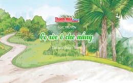 Đọc truyện: “Cọ xòe ô che nắng” | Đoan Trang