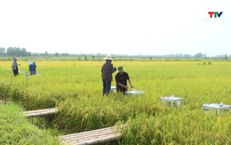 Nông sản hữu cơ vẫn khó khăn tìm chỗ đứng trên thị trường 