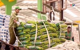 Giá phân bón tăng cao, nguy cơ ảnh hưởng sản xuất nông nghiệp