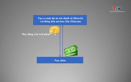 Cú lừa triệu đô từ hệ sinh thái số Xintel