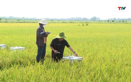 Đề xuất công nghệ chiến lược cho nông nghiệp và môi trường bền vững