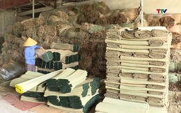 Giá trị cói xuất khẩu tăng hơn 6% so với cùng kỳ