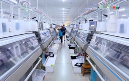 Thanh Hóa thu nội địa quý 1 năm 2026 duy trì đà tăng trưởng