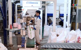 Tín hiệu tích cực cho xuất khẩu gạo sang thị trường Philippines