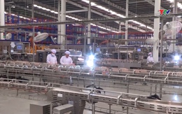 Đổi mới sáng tạo, phát triển khoa học, công nghệ, chuyển đổi số, chuyển đổi xanh