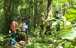 Tăng cường ứng phó với nguy cơ cháy rừng
