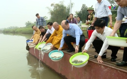 Thả cá giống tái tạo nguồn lợi thủy  sản
