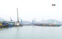 Đề xuất giảm phí, lệ phí hàng hải cho tàu thuyền Việt Nam về 0 đồng 