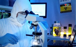 Bộ Y tế thông tin về biến thể SARS-CoV-2