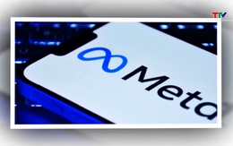 Một người Việt Nam bị khởi kiện vì mạo danh thương hiệu và chiếm đoạt tài sản người dùng