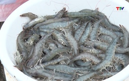 Bản tin Nông nghiệp - Nông thôn ngày 04/03/2026