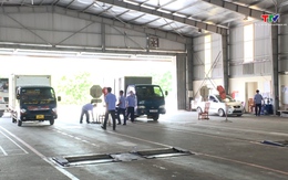 Đã cấp hơn 23.000 giấy chứng nhận đăng kiểm điện tử cho người dân và doanh nghiệp