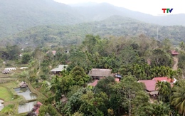 Ngôi nhà trăm tuổi kể chuyện văn hóa người Thái