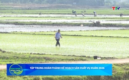 Bản tin Nông nghiệp – Nông thôn 07/03/2026