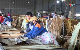 Ngành gỗ Việt Nam hướng tới mục tiêu 25 tỷ USD xuất khẩu vào năm 2030 