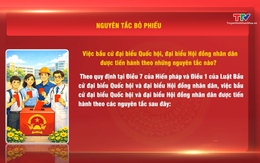 Hỏi - đáp nhanh về bầu cử : Nguyên tắc bỏ phiếu