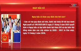 Hỏi - đáp nhanh về bầu cử: Ngày bầu cử