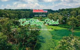 Đọc truyện: “Gió Trảng Phình” | Nguyễn Huy Súc