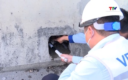 Đề nghị xử nghiêm hành vi cắt trộm cáp trên cao tốc Bắc - Nam