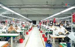 Doanh nghiệp đối mặt với tình trạng chi phí hoạt động tăng