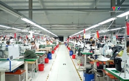 Doanh nghiệp gia tăng chi phí hoạt động do tác động xung đột Trung Đông 