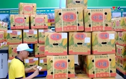 Xuất khẩu hàng hóa của cả nước trong 3 tháng đầu năm 2026 tăng 17%