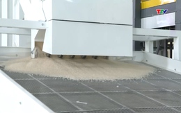 Giá gạo xuất khẩu dự báo tiếp tục dao động