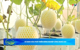 Bản tin Nông nghiệp - Nông thôn ngày 11/4/2026