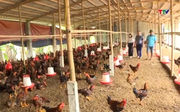 Bảo hiểm thay đổi tư duy sản xuất nông nghiệp