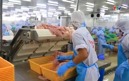 Xuất khẩu thủy sản đạt 2,64 tỷ USD