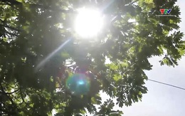 Nắng nóng còn kéo dài và gia tăng về cường độ ở nhiều khu vực