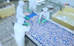 Quý 2 năm 2026, thị trường Trung Quốc là động lực cho tăng trưởng của xuất khẩu thủy sản 