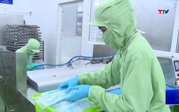 Giá trị xuất khẩu nông, lâm, thủy sản đạt hơn 85,78 triệu USD