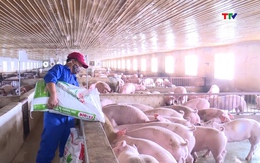 Giá đầu vào leo thang, nông nghiệp đối mặt sức ép kép