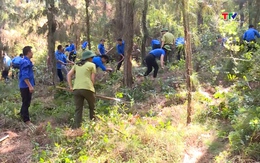 Cảnh báo nguy cơ cháy rừng cấp cực kỳ nguy hiểm đến ngày 19/4