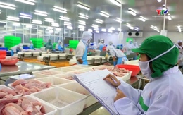 Thích ứng xu hướng tiêu dùng, mở rộng không gian thị trường