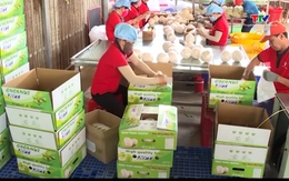 Xuất khẩu rau quả của Việt Nam sang Trung Quốc tăng mạnh