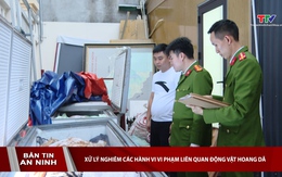 Bản tin An ninh 16/04/2026