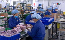 Nguy cơ thiếu hụt 800 triệu việc làm toàn cầu