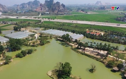 Miền xanh bình yên