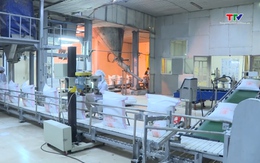 Giá đường thế giới tăng, trong nước giảm sâu