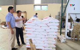 Giá gạo xuất khẩu tiếp tục giảm do cung vượt cầu