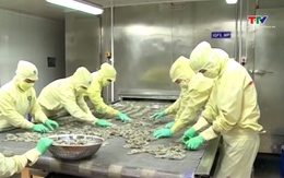 Giá nông sản quý II đối mặt áp lực tăng giá