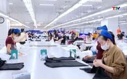 Tháng Công nhân năm 2026 với chủ đề “Công nhân Thanh Hóa đổi mới, sáng tạo, nâng cao năng suất lao động”