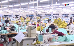 WB vinh danh Việt Nam về hiệu quả phát triển và sử dụng vốn con người