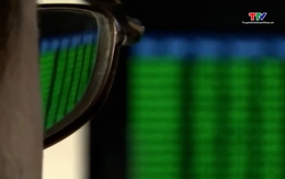 Việt Nam đứng đầu Đông Nam Á về số lượng doanh nghiệp bị tấn công web